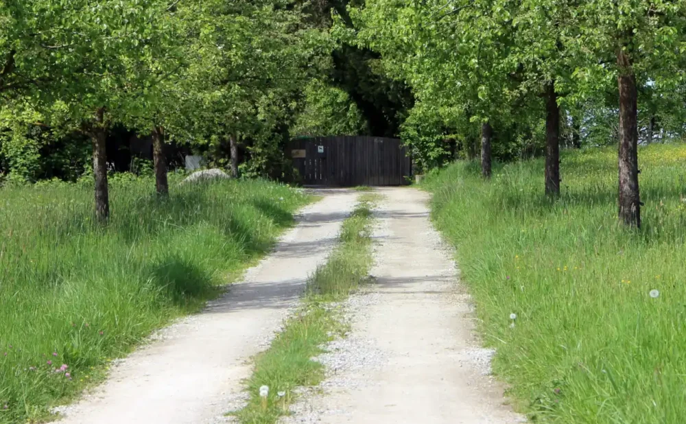 Recht auf Zufahrt zum eigenen Grundstück